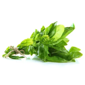 Erva aromática (Manjericão)