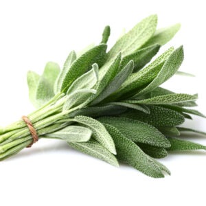 Erva aromática ( sálvia )