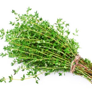 Erva aromáticas (Tomilho)