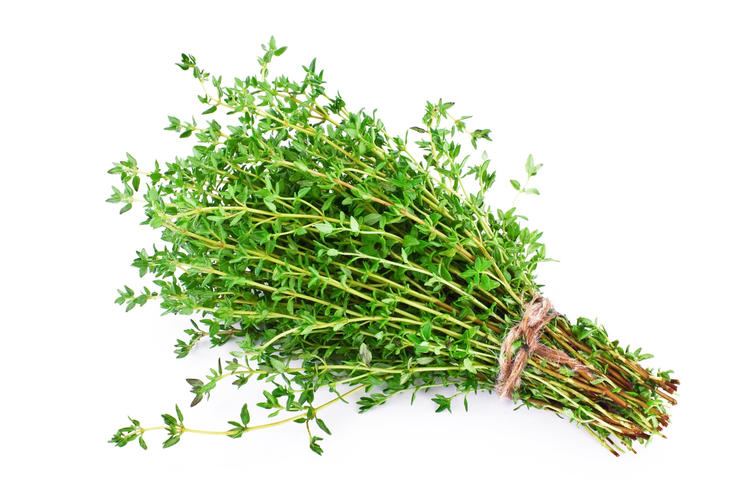 Erva aromáticas (Tomilho)