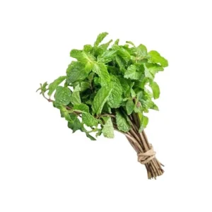 Ervas aromáticas (Hortelã)