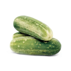 Pepino caipira orgânico