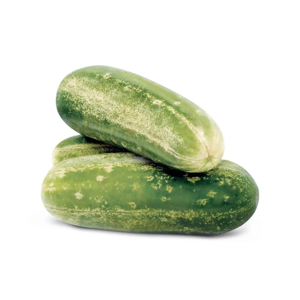 Pepino caipira orgânico